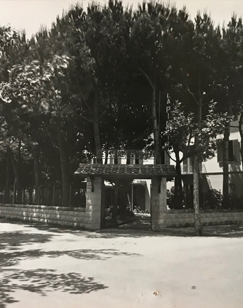 immagine ingresso storico